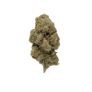 Fleurs CBD Acapulco Gold - Glass-House