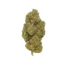 G13 Haze CBD - Indoor