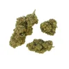 G13 Haze CBD - Indoor