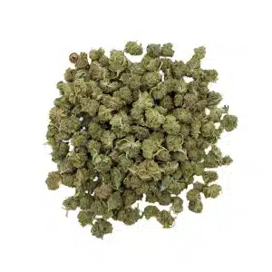 Sour Tsunami – Small Buds – Green-house Française