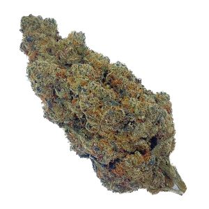 Amnesia Haze CBD + 30% CBN - Big Bud - Indoor Hydro