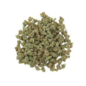 Amnesia Haze CBD - Small Bud CBD - Indoor-Hydro