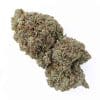 Meilleur CBD Critical + 2.0 CBD - Big Bud - Indoor Hydro