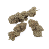 Grossiste – Fleurs CBD – Critical+ 2.0