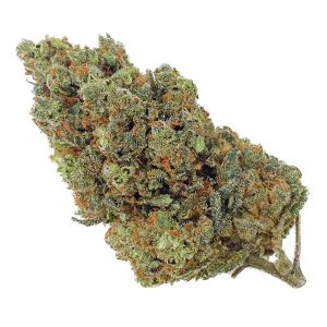 Orange Sherbet - 30% CBN - Big Bud - Indoor Hydro