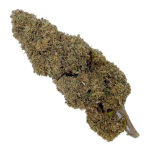 Fleur de CBD Jack Herer CBD en 10-OH