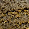 Black Ice-o-lator 70% CBD