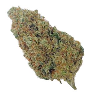 Charlotte’s Angel CBD - Big Bud - Indoor Hydro