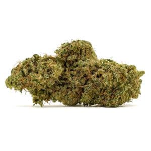 Fleur-cbd-charlotte-angel