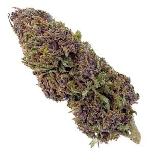 Purple Haze CBD - Bud Mix - Green-House
