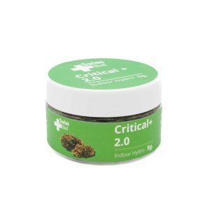 Critical + 2.0 Indoor Hydro - 5gr - SwissBud