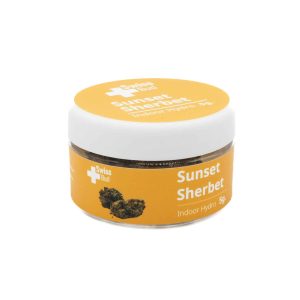Sunset Sherbet Indoor Hydro - 5gr - SwissBud