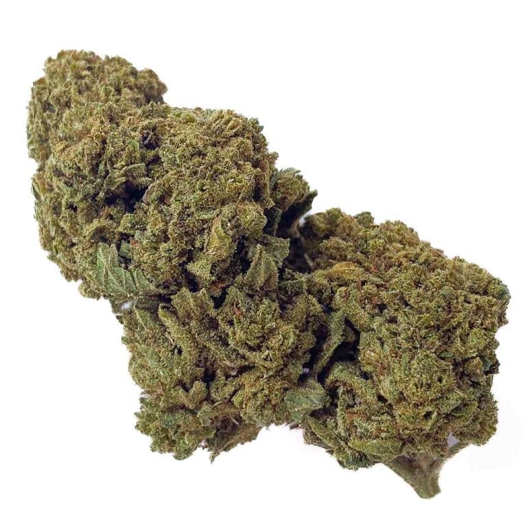Bubble Gum CBD - Bud Mix - Glass-House