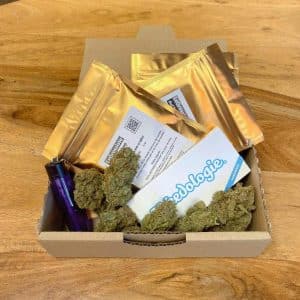 Super Pack Fleurs CBD Hydro - 3 x 3gr